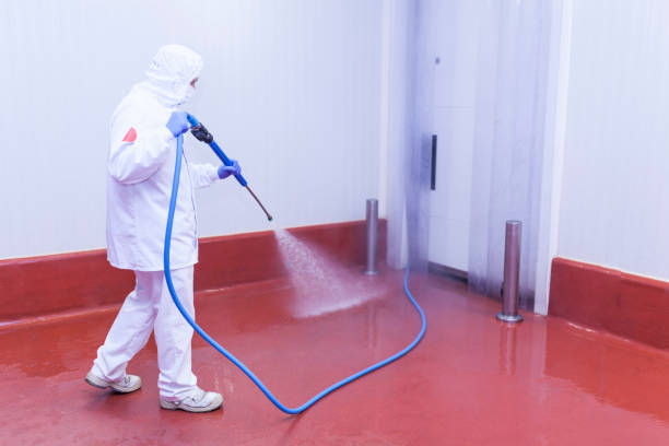 Best Window and Screen Pressure Cleaning in Hammond, IN